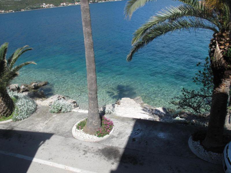 Apartments Jasmina Korcula Town Bilik gambar